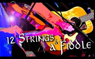 12 Strings and a Fiddle Motorworks Brewing
