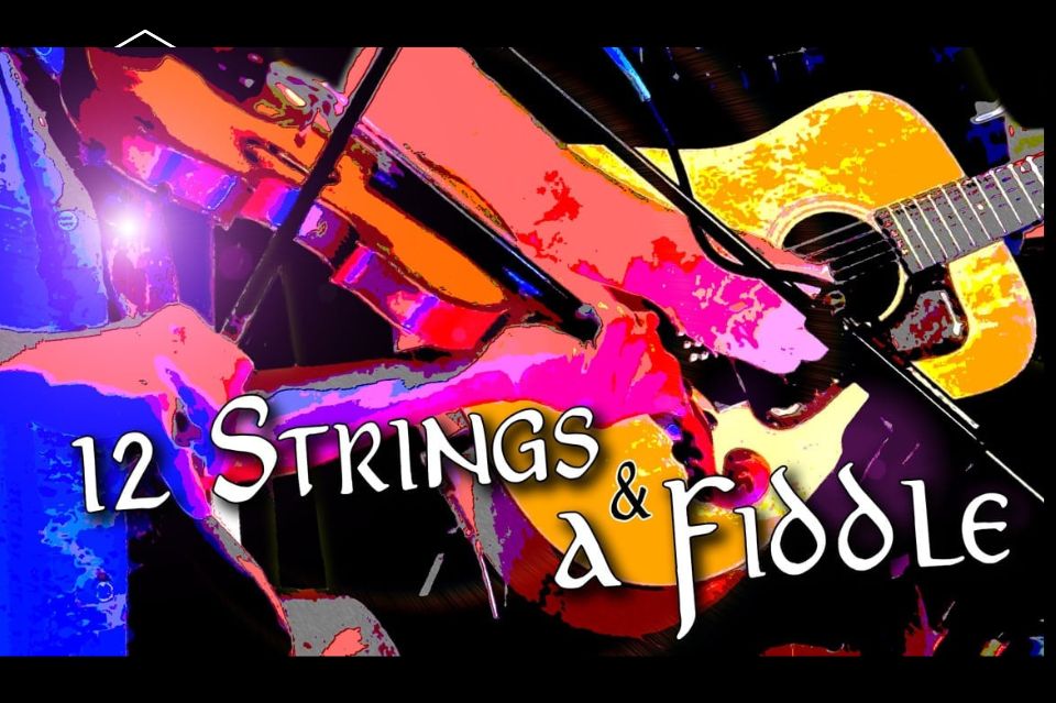 12 Strings and a Fiddle Motorworks Brewing